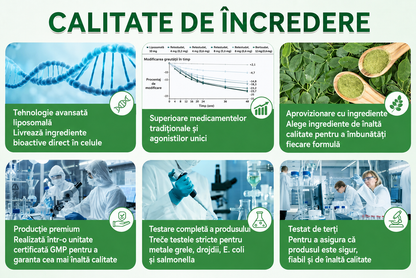 🥕 Magazin Oficial | 🌿 GLORENDA® Moringa · Berberină × NAD+ Plasture Avansat Nano cu Microace 10 în 1 (Doar o dată pe zi, schimbări vizibile în 7 zile) ✅ Pentru obezitate, piele lăsată, diabet, apnee în somn, probleme articulare și multe altele